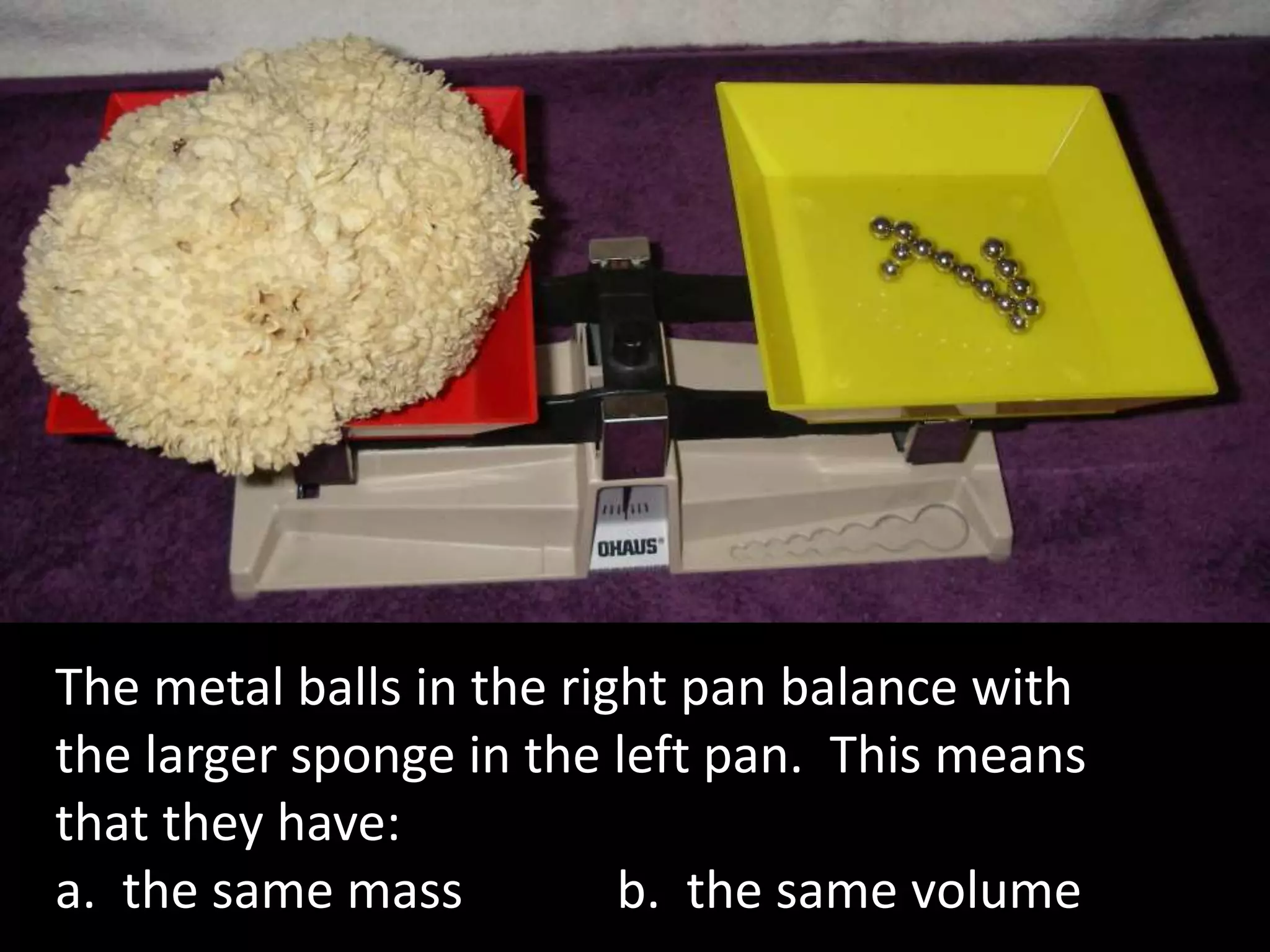 The metal balls in the right pan balance with
the larger sponge in the left pan. This means
that they have:
a. the same mass b. the same volume
 