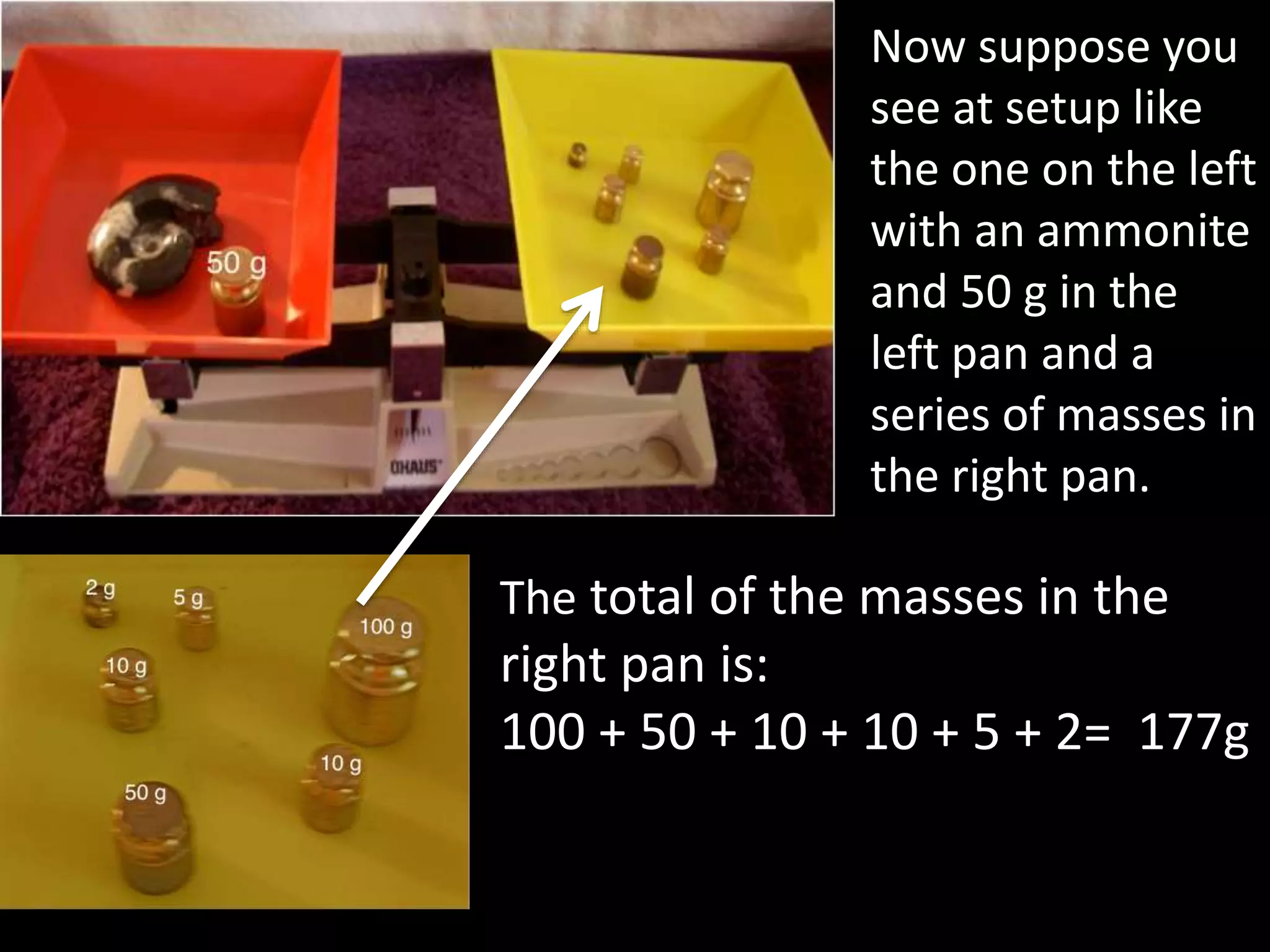 Now suppose you
see at setup like
the one on the left
with an ammonite
and 50 g in the
left pan and a
series of masses in
the right pan.
The total of the masses in the
right pan is:
100 + 50 + 10 + 10 + 5 + 2= 177g
 