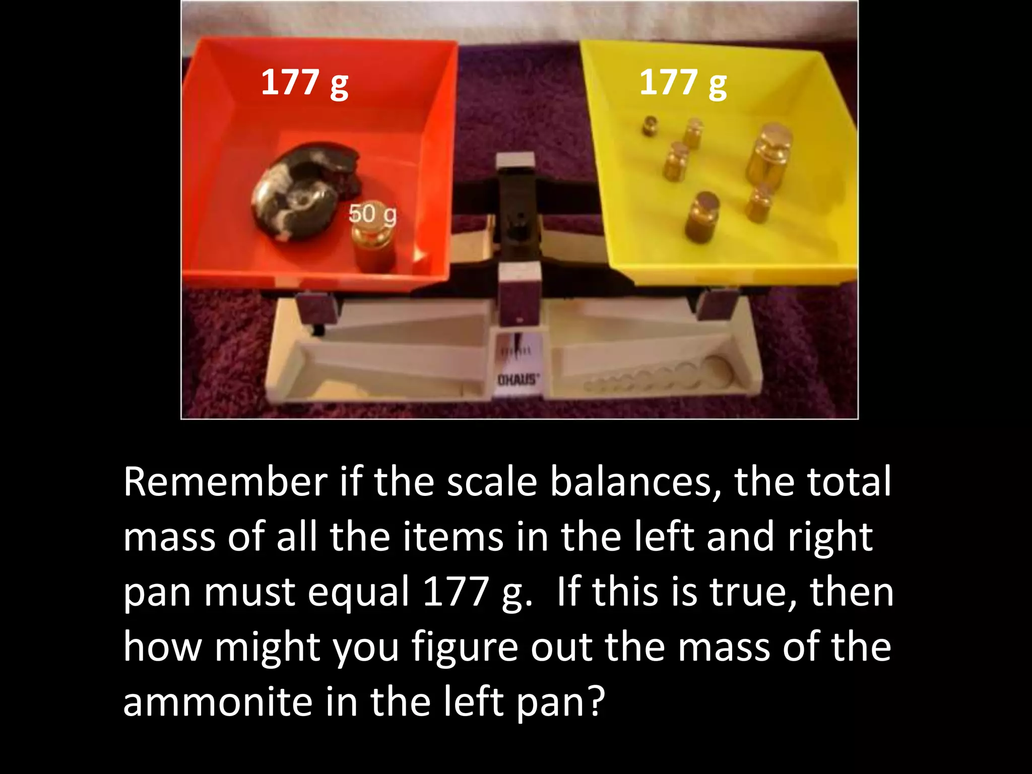 177 g177 g
Remember if the scale balances, the total
mass of all the items in the left and right
pan must equal 177 g. If this is true, then
how might you figure out the mass of the
ammonite in the left pan?
 