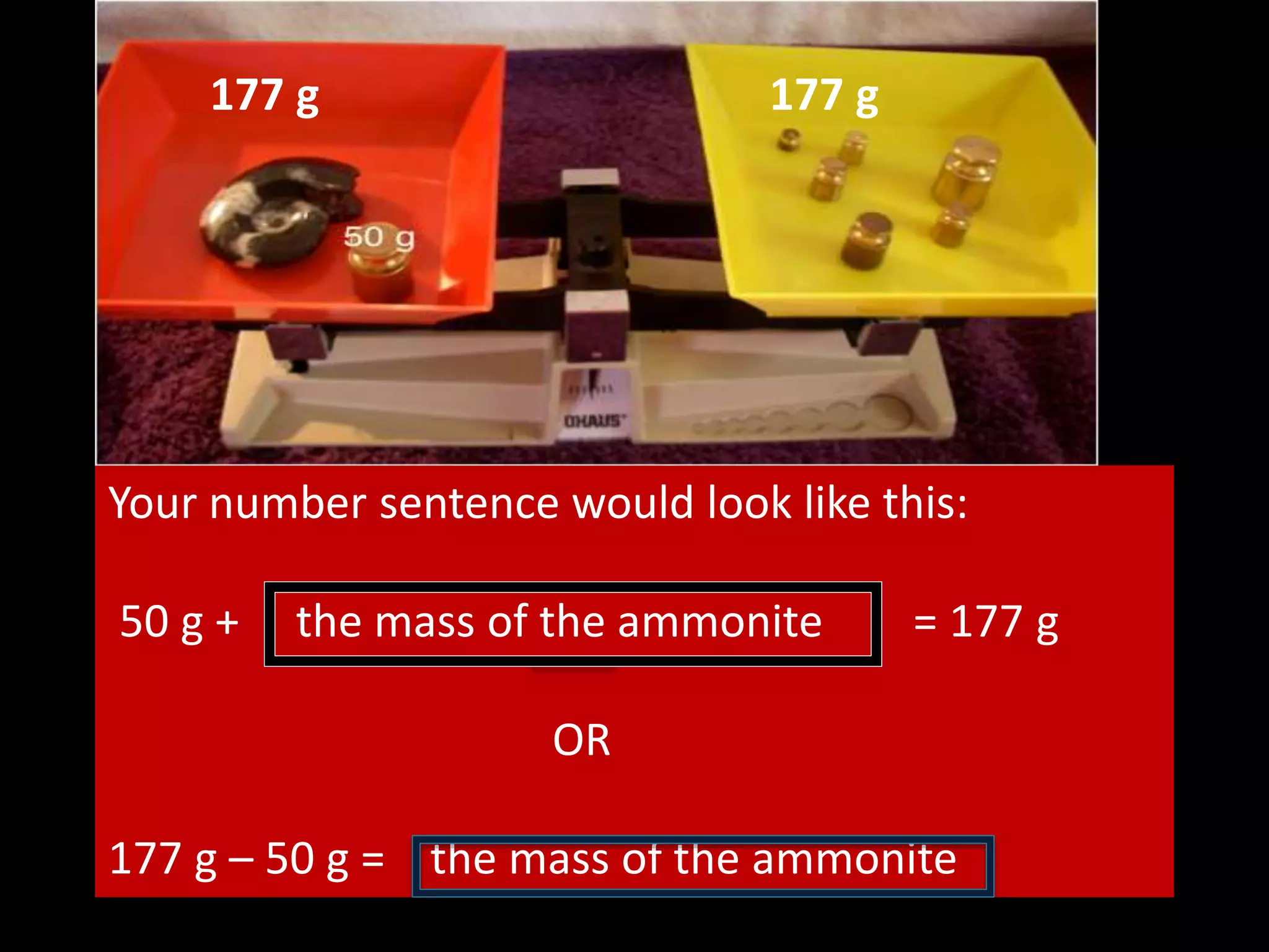 Your number sentence would look like this:
50 g + the mass of the ammonite = 177 g
OR
177 g – 50 g = the mass of the ammonite
177 g177 g
 