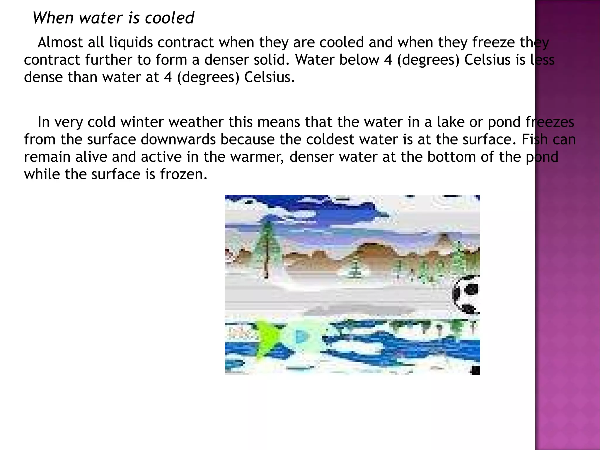 When water is cooled Almost all liquids contract when they are cooled and when they freeze they contract further to form a denser solid. Water below 4 (degrees) Celsius is less dense than water at 4 (degrees) Celsius.  In very cold winter weather this means that the water in a lake or pond freezes from the surface downwards because the coldest water is at the surface. Fish can remain alive and active in the warmer, denser water at the bottom of the pond while the surface is frozen. 