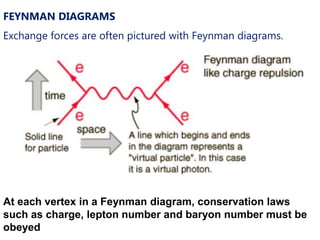 FEYNMAN DIAGRAMS
Exchange forces are often pictured with Feynman diagrams.




At each vertex in a Feynman diagram, conservation laws
such as charge, lepton number and baryon number must be
obeyed
 