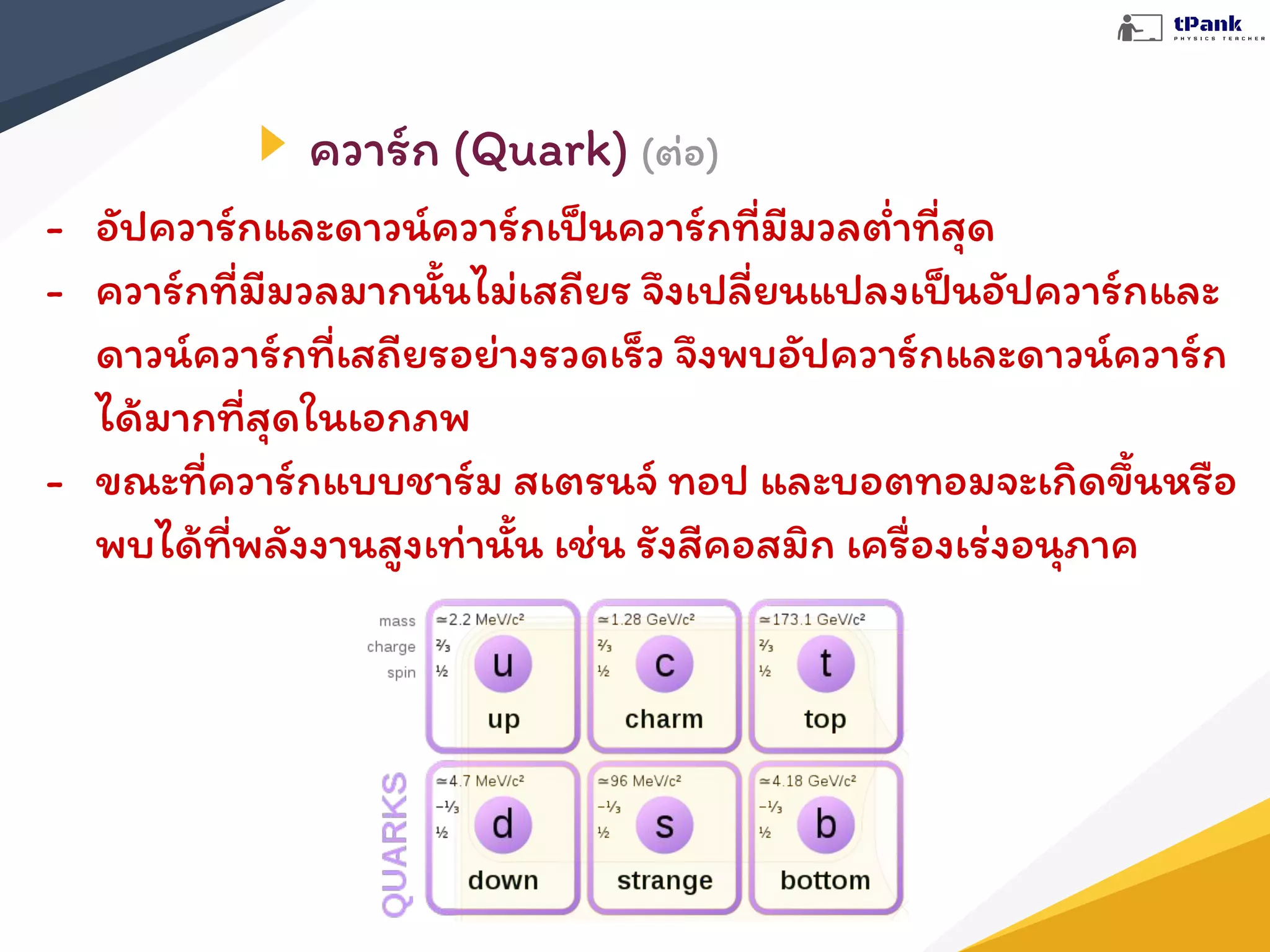 ฟิสิกส์อนุภาค | PDF