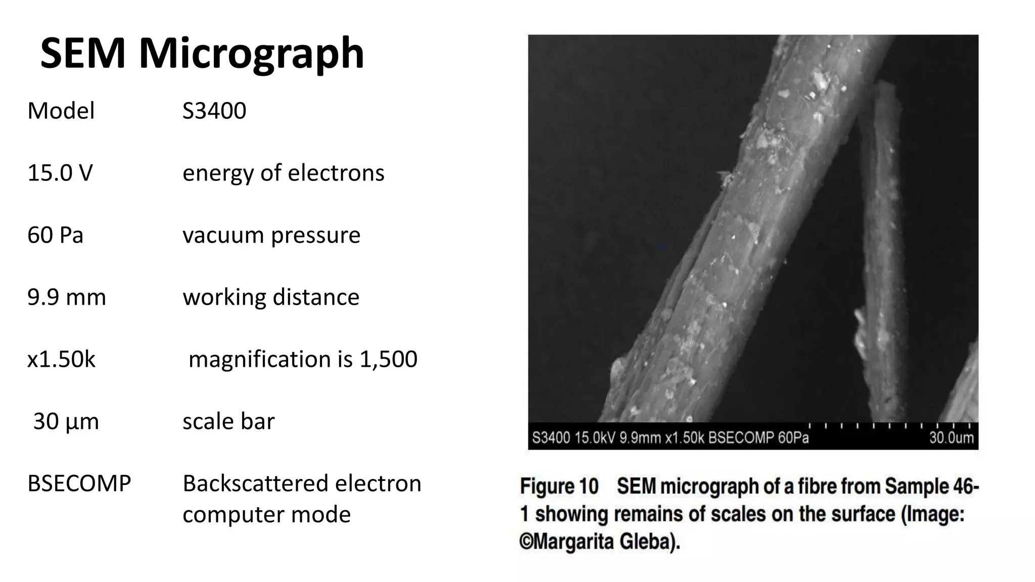 Particle size by sem and xrd | PPTX