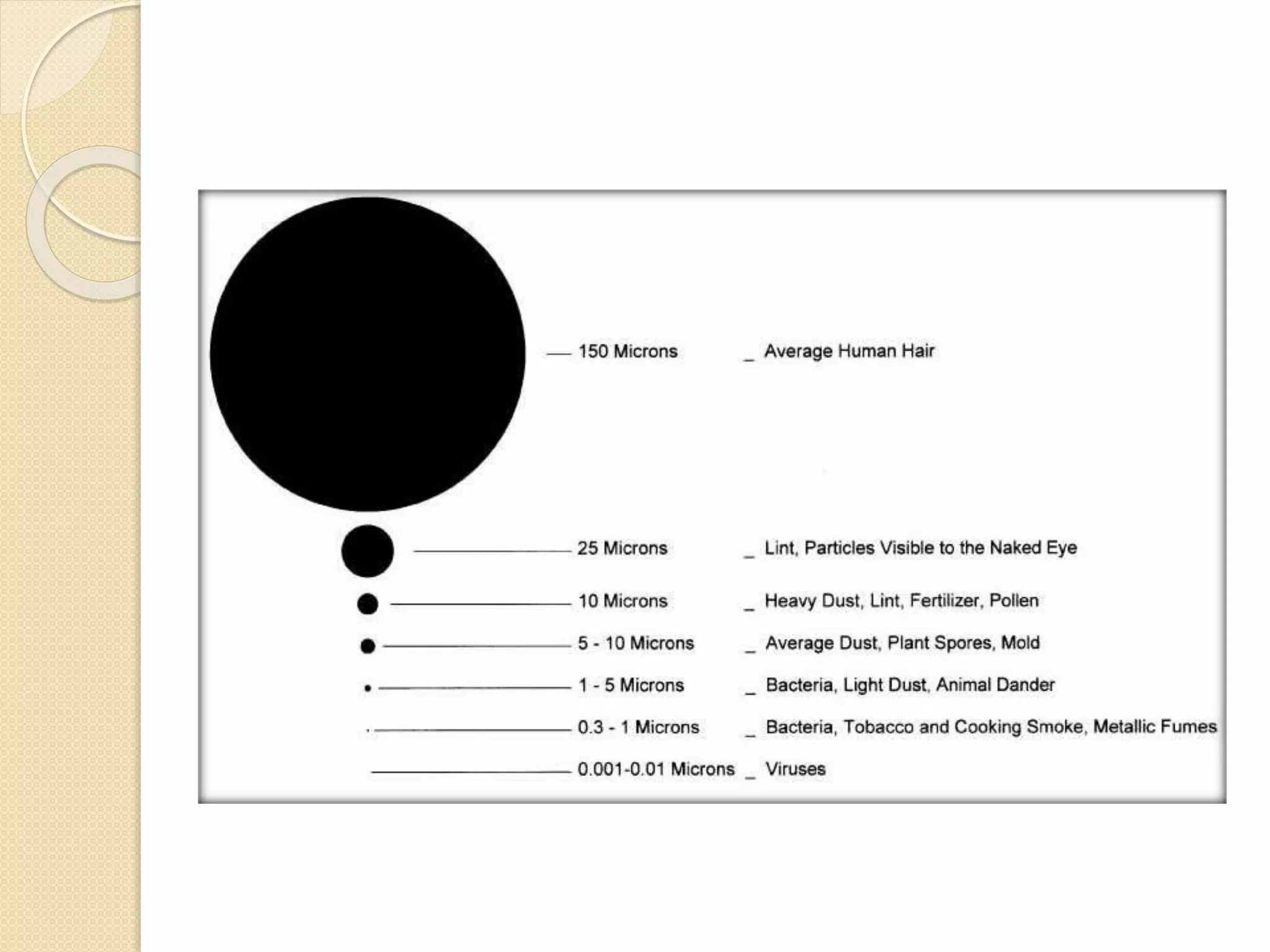 Particle Size Distribution
 
