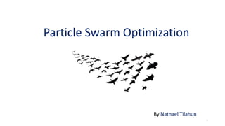 Particle Swarm Optimization
By Natnael Tilahun
1
 
