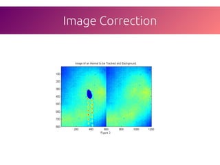 Particle tracking | PDF