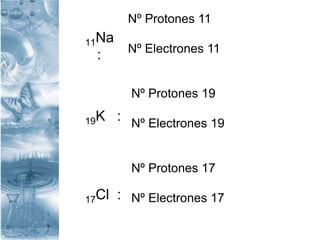 11Na
:
19K :
17Cl :
Nº Protones 11
Nº Electrones 11
Nº Protones 19
Nº Electrones 19
Nº Protones 17
Nº Electrones 17
 