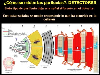 ¿Cómo se miden las partículas?: DETECTORES
Cada tipo de partícula deja una señal diferente en el detector
Con estas señales se puede reconstruir lo que ha ocurrido en la
colisión
 