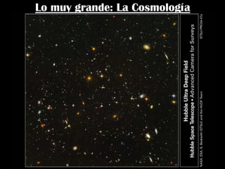Lo muy grande: La Cosmología
 
