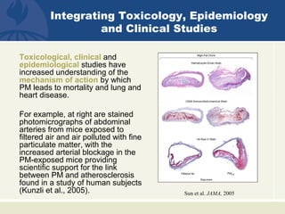 Toxicological, clinical and
epidemiological studies have
increased understanding of the
mechanism of action by which
PM leads to mortality and lung and
heart disease.
For example, at right are stained
photomicrographs of abdominal
arteries from mice exposed to
filtered air and air polluted with fine
particulate matter, with the
increased arterial blockage in the
PM-exposed mice providing
scientific support for the link
between PM and atherosclerosis
found in a study of human subjects
(Kunzli et al., 2005). Sun et al. JAMA, 2005
Integrating Toxicology, Epidemiology
and Clinical Studies
 