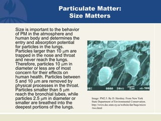 Size is important to the behavior
of PM in the atmosphere and
human body and determines the
entry and absorption potential
for particles in the lungs.
Particles larger than 10 mm are
trapped in the nose and throat
and never reach the lungs.
Therefore, particles 10 mm in
diameter or less are of most
concern for their effects on
human health. Particles between
5 and 10 mm are removed by
physical processes in the throat.
Particles smaller than 5 mm
reach the bronchial tubes, while
particles 2.5 mm in diameter or
smaller are breathed into the
deepest portions of the lungs.
Image: PM2.5. By D. Hershey. From New York
State Department of Environmental Conservation.
http://www.dec.state.ny.us/website/dar/baqs/micro
/two.html
Particulate Matter:
Size Matters
 