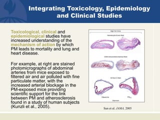 Toxicological, clinical and
epidemiological studies have
increased understanding of the
mechanism of action by which
PM leads to mortality and lung and
heart disease.
For example, at right are stained
photomicrographs of abdominal
arteries from mice exposed to
filtered air and air polluted with fine
particulate matter, with the
increased arterial blockage in the
PM-exposed mice providing
scientific support for the link
between PM and atherosclerosis
found in a study of human subjects
(Kunzli et al., 2005). Sun et al. JAMA, 2005
Integrating Toxicology, Epidemiology
and Clinical Studies
 