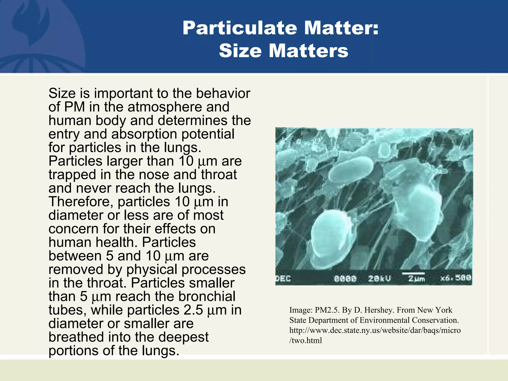Particulate Matter:
                        Size Matters

Size is important to the behavior
of PM in the atmosphere and
human body and determines the
entry and absorption potential
for particles in the lungs.
Particles larger than 10 µm are
trapped in the nose and throat
and never reach the lungs.
Therefore, particles 10 µm in
diameter or less are of most
concern for their effects on
human health. Particles
between 5 and 10 µm are
removed by physical processes
in the throat. Particles smaller
than 5 µm reach the bronchial
tubes, while particles 2.5 µm in    Image: PM2.5. By D. Hershey. From New York
                                    State Department of Environmental Conservation.
diameter or smaller are             http://www.dec.state.ny.us/website/dar/baqs/micro
breathed into the deepest           /two.html
portions of the lungs.
 
