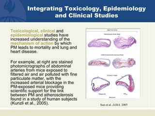 Integrating Toxicology, Epidemiology
                  and Clinical Studies

Toxicological, clinical and
epidemiological studies have
increased understanding of the
mechanism of action by which
PM leads to mortality and lung and
heart disease.

For example, at right are stained
photomicrographs of abdominal
arteries from mice exposed to
filtered air and air polluted with fine
particulate matter, with the
increased arterial blockage in the
PM-exposed mice providing
scientific support for the link
between PM and atherosclerosis
found in a study of human subjects
(Kunzli et al., 2005).                    Sun et al. JAMA, 2005
 