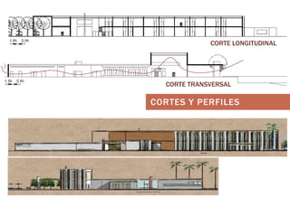 CORTE LONGITUDINAL

CORTE TRANSVERSAL

CORTES Y PERFILES

 