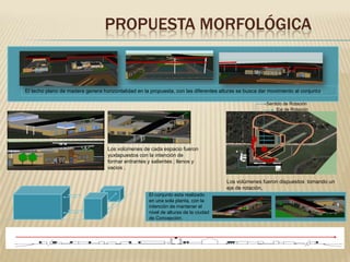 PROPUESTA MORFOLÓGICA

El techo plano de madera genera horizontalidad en la propuesta, con las diferentes alturas se busca dar movimiento al conjunto.
Sentido de Rotación
Eje de Rotación

Los volúmenes de cada espacio fueron
yuxtapuestos con la intención de
formar entrantes y salientes ; llenos y
vacios .
Los volúmenes fueron dispuestos tomando un
eje de rotación,
El conjunto esta realizado
en una sola planta, con la
intención de mantener el
nivel de alturas de la ciudad
de Concepción.

 