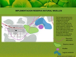 IMPLEMENTACION RESERVA NATURAL/ MUELLES

Con la implementación de la
reserva natural y las lagunas
existentes se incorpora
muelles con lugar de
recreación en medio de los
mismos. De esta manera se
puede observar y disfrutar de
la naturaleza circundante.
Éste muelle tiene acceso tanto
por la ruta existente como por
el recorrido alternativo,
posibilitando su visita desde
varios puntos estratégicos.

Recorrido
alternativo
Reserva natural
Muelles
Laguna existente

 