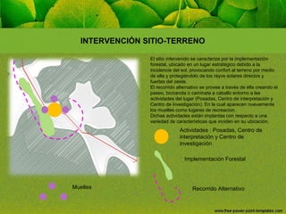 INTERVENCIÓN SITIO-TERRENO
El sitio intervenido se caracteriza por la implementación
forestal, ubicado en un lugar estratégico debido a la
incidencia del sol, provocando confort al terreno por medio
de ella y protegiéndolo de los rayos solares directos y
fuertes del oeste.
El recorrido alternativo se provee a través de ella creando el
paseo, bicicenda o caminata a caballo entorno a las
actividades del lugar (Posadas, Centro de interpretación y
Centro de investigación). En la cual aparecen nuevamente
los muelles como lugares de recreacion.
Dichas actividades están implantas con respecto a una
variedad de características que inciden en su ubicación.

Actividades : Posadas, Centro de
interpretación y Centro de
investigación
Implementación Forestal

Muelles

Recorrido Alternativo

 