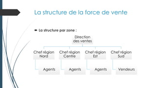 La structure de la force de vente
 La structure par zone :
Direction
des ventes
Direction
des ventes
Chef région
Nord
Chef région
Nord
Agents
Agents
Chef région
Centre
Chef région
Centre
Agents
Agents
Chef région
Est
Chef région
Est
Agents
Agents
Chef région
Sud
Chef région
Sud
Vendeurs
Vendeurs
 