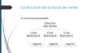 La structure de la force de vente
 La structure par produit :
Direction
des ventes
Direction
des ventes
Chef
Branche A
Chef
Branche A
Agents
Agents
Chef
Branche B
Chef
Branche B
Agents
Agents
Chef
Branche C
Chef
Branche C
Agents
Agents
 