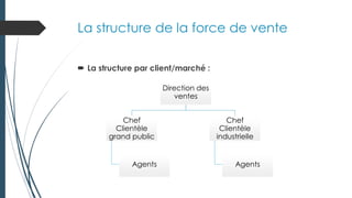 La structure de la force de vente
 La structure par client/marché :
Direction des
ventes
Direction des
ventes
Chef
Clientèle
grand public
Chef
Clientèle
grand public
Agents
Agents
Chef
Clientèle
industrielle
Chef
Clientèle
industrielle
Agents
Agents
 