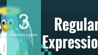 Expression régulière
 