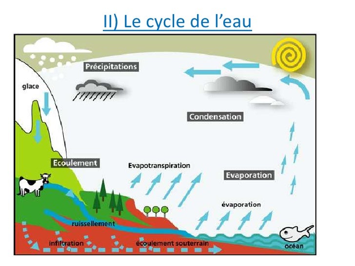 Le Cycle De L'eau 5ème Exercices Corrigés