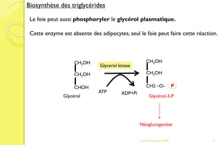 Franck Rencurel 2020 6
Biosynthèse des triglycérides
Le foie peut aussi phosphoryler le glycérol plasmatique.
Cette enzyme est absente des adipocytes, seul le foie peut faire cette réaction.
Glycérol-3-P
ATP ADP+Pi
CH2OH
CH2OH
CHOH
CH2OH
CH2OH
CH2 –O- P
Glycerol kinase
Glycérol
Néoglucogenèse
 