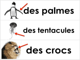 Les parties des animaux