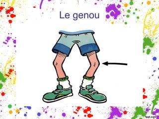 Le genou