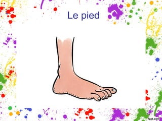 Le pied