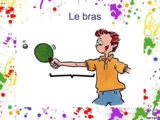 Le bras