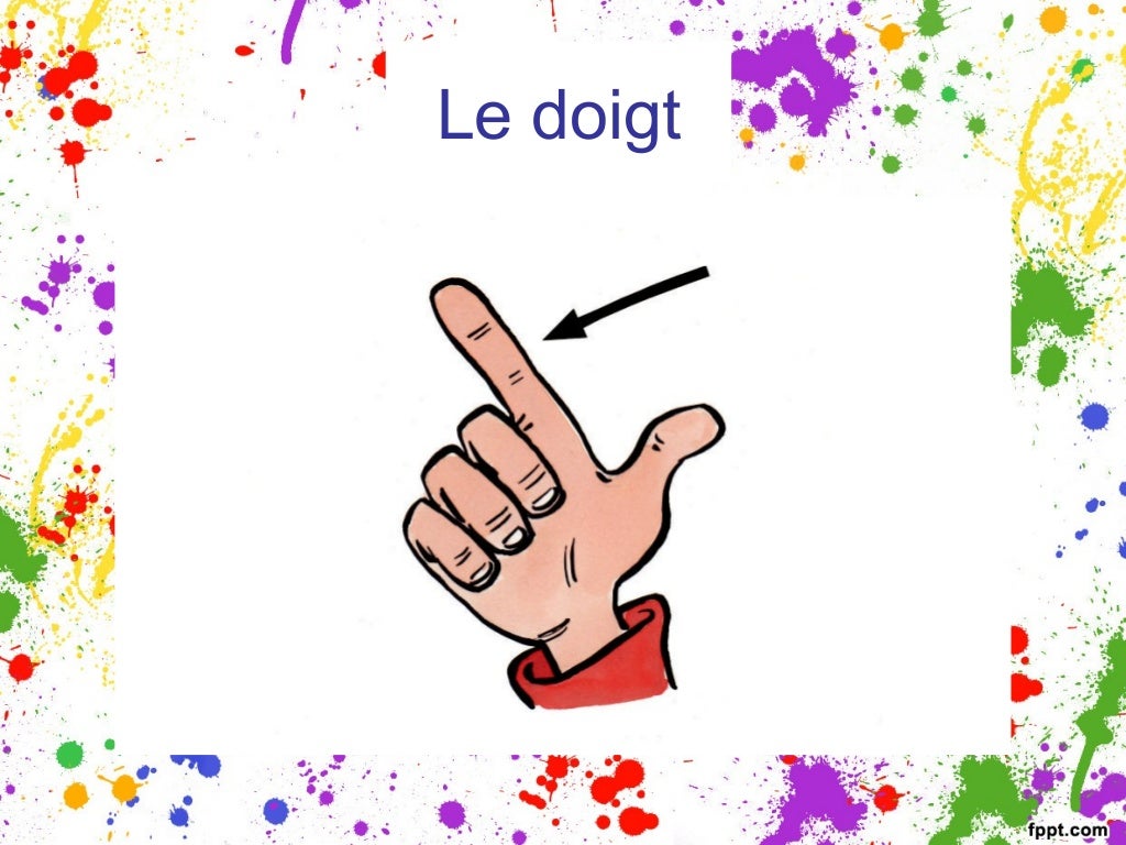 Les parties du corps