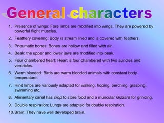 1. Presence of wings: Fore limbs are modified into wings. They are powered by
powerful flight muscles.
2. Feathery covering: Body is stream lined and is covered with feathers.
3. Pneumatic bones: Bones are hollow and filled with air.
4. Beak: the upper and lower jaws are modified into beak.
5. Four chambered heart: Heart is four chambered with two auricles and
ventricles.
6. Warm blooded: Birds are warm blooded animals with constant body
temperature.
7. Hind limbs are variously adapted for walking, hoping, perching, grasping,
swimming etc.
8. Alimentary canal has crop to store food and a muscular Gizzard for grinding.
9. Double respiration: Lungs are adapted for double respiration.
10.Brain: They have well developed brain.
 