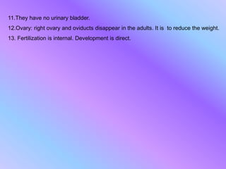 11.They have no urinary bladder.
12.Ovary: right ovary and oviducts disappear in the adults. It is to reduce the weight.
13. Fertilization is internal. Development is direct.
 