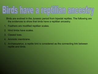 Birds are evolved in the Jurassic period from bipedal reptiles. The following are
the evidences to show that birds have a reptilian ancestry.
1. Feathers are modified reptilian scales.
2. Hind limbs have scales.
3. Clawed toes.
4. Amniotic membrane.
5. Archaeopteryx, a reptile bird is considered as the connecting link between
reptile and birds.
 