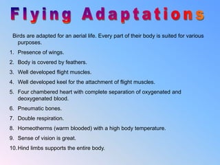 Birds are adapted for an aerial life. Every part of their body is suited for various
purposes.
1. Presence of wings.
2. Body is covered by feathers.
3. Well developed flight muscles.
4. Well developed keel for the attachment of flight muscles.
5. Four chambered heart with complete separation of oxygenated and
deoxygenated blood.
6. Pneumatic bones.
7. Double respiration.
8. Homeotherms (warm blooded) with a high body temperature.
9. Sense of vision is great.
10.Hind limbs supports the entire body.
 