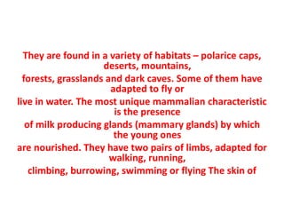 They are found in a variety of habitats – polarice caps,
deserts, mountains,
forests, grasslands and dark caves. Some of them have
adapted to fly or
live in water. The most unique mammalian characteristic
is the presence
of milk producing glands (mammary glands) by which
the young ones
are nourished. They have two pairs of limbs, adapted for
walking, running,
climbing, burrowing, swimming or flying The skin of
 
