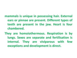 mammals is unique in possessing hair. External
ears or pinnae are present. Different types of
teeth are present in the jaw. Heart is four
chambered.
They are homoiothermous. Respiration is by
lungs. Sexes are separate and fertilisation is
internal. They are viviparous with few
exceptions and development is direct.
 