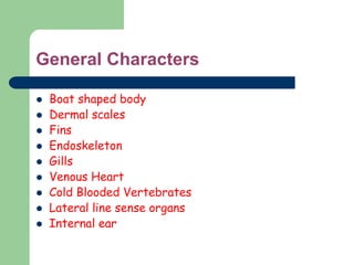 General Characters
 Boat shaped body
 Dermal scales
 Fins
 Endoskeleton
 Gills
 Venous Heart
 Cold Blooded Vertebrates
 Lateral line sense organs
 Internal ear
 