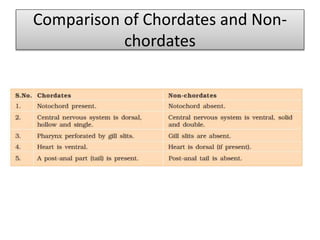 Comparison of Chordates and Non-
chordates
 