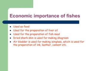 Economic importance of fishes
 Used as food
 Used for the preparation of liver oil
 Used for the preparation of fish meal
 Dried shark skin is used for making shagreen
 Air bladder is used for making isinglass, which is used for
the preparation of ink, leather, cement etc.
 