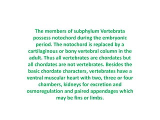 The members of subphylum Vertebrata
possess notochord during the embryonic
period. The notochord is replaced by a
cartilaginous or bony vertebral column in the
adult. Thus all vertebrates are chordates but
all chordates are not vertebrates. Besides the
basic chordate characters, vertebrates have a
ventral muscular heart with two, three or four
chambers, kidneys for excretion and
osmoregulation and paired appendages which
may be fins or limbs.
 