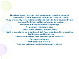 The class name refers to their creeping or crawling mode of
locomotion (Latin, repere or reptum, to creep or crawl).
They are mostly terrestrial animals and their body is covered by dry
and cornified skin, epidermal scales or scutes .
They do not have external ear openings.
Tympanum represents ear.
Limbs, when present, are two pairs.
Heart is usually three-chambered, but four-chambered in crocodiles.
Reptiles are poikilotherms.
Snakes and lizards shed their scales as skin cast.
Sexes are separate.
Fertilisation is internal.
They are oviparous and development is direct.
 