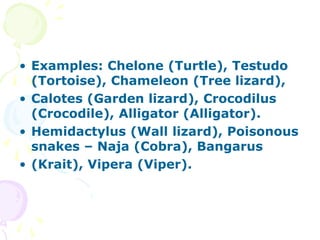 • Examples: Chelone (Turtle), Testudo
(Tortoise), Chameleon (Tree lizard),
• Calotes (Garden lizard), Crocodilus
(Crocodile), Alligator (Alligator).
• Hemidactylus (Wall lizard), Poisonous
snakes – Naja (Cobra), Bangarus
• (Krait), Vipera (Viper).
 