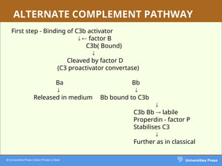 Complement Bb Comprehensive Overview of the Complement System in Immunology | PPT