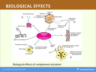 Comprehensive Overview of the Complement System in Immunology | PPT