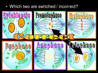 • Which two are switched / incorrect?
 