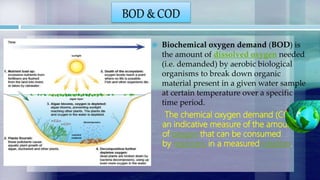 Cod In Water CBSE-Class 11 - Chemistry -Chapter 14-Environmental Chemistry | PPTX